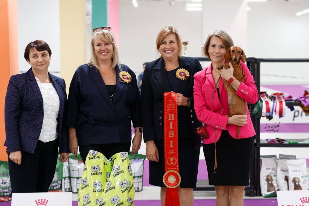 bassotto-nano-pelo-corto-fulvo-campione-miniature-dachshund